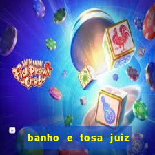 banho e tosa juiz de fora